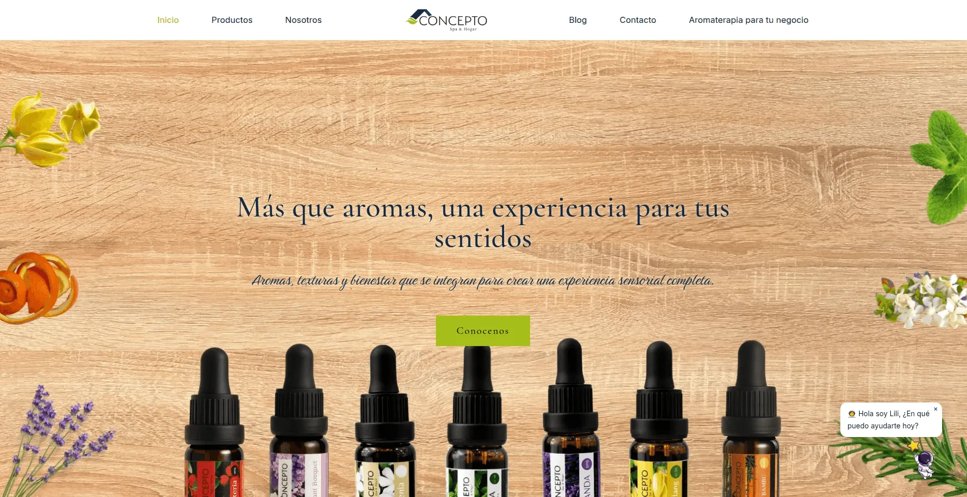 Demo para negocios